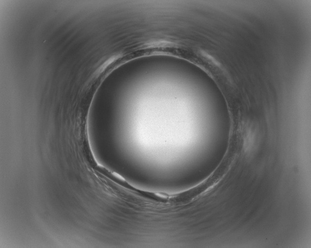 X0000081611313200701151355