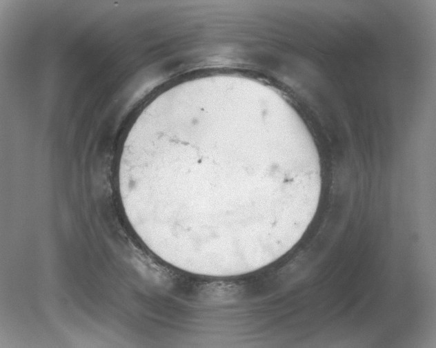 X0000081611314200701151355