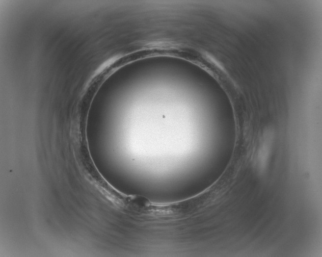 X0000081611315200701151355