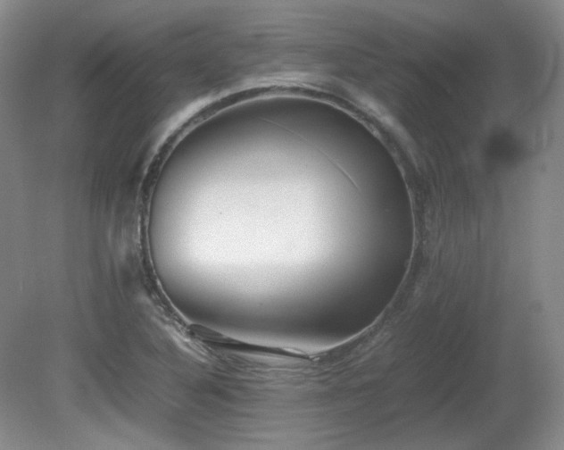 X0000081611316200701151355