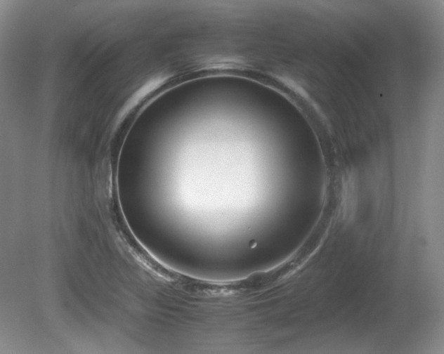 X0000081611317200701151355