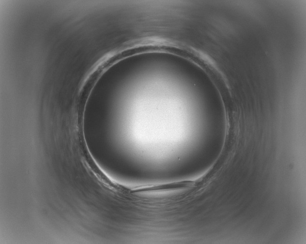 X0000081611318200701151355