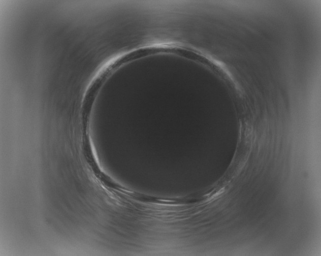 X0000081611319200701151355