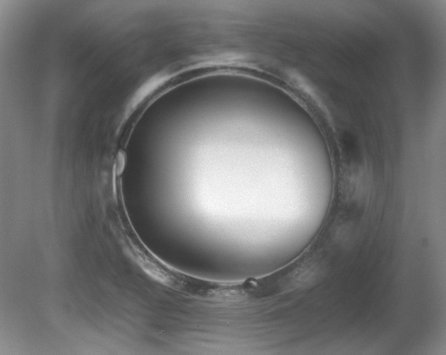 X0000081611320200701151355