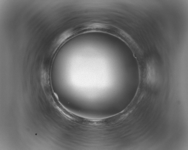 X0000081611321200701151355