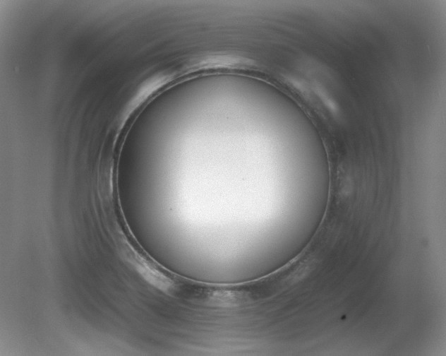 X0000081611322200701151355