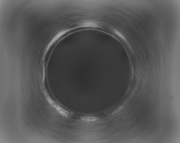 X0000081611323200701151355