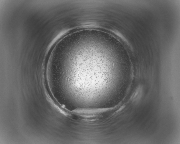 X0000081611325200701151355