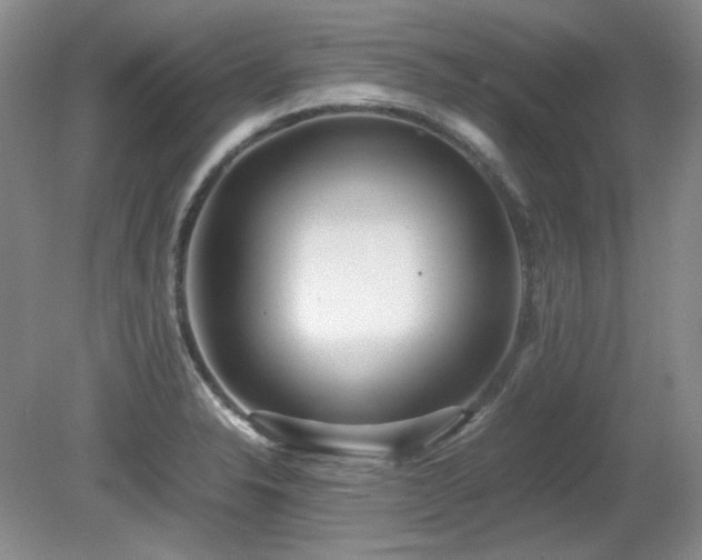 X0000081611326200701151355