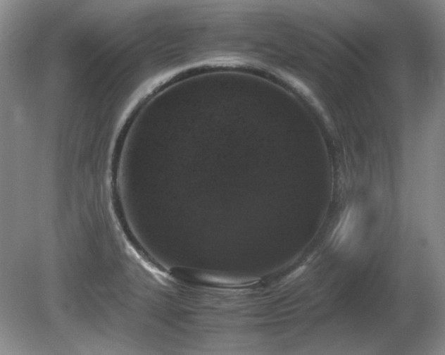 X0000081611327200701151355