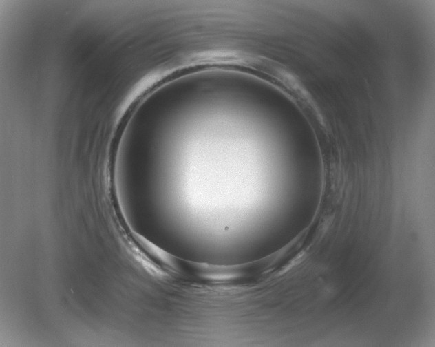 X0000081611328200701151355