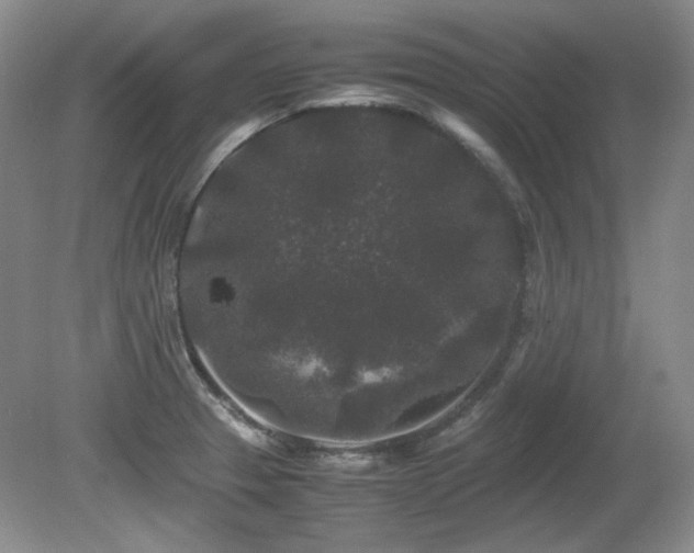 X0000081611329200701151355