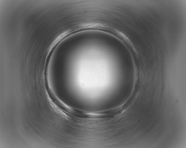 X0000081611330200701151355