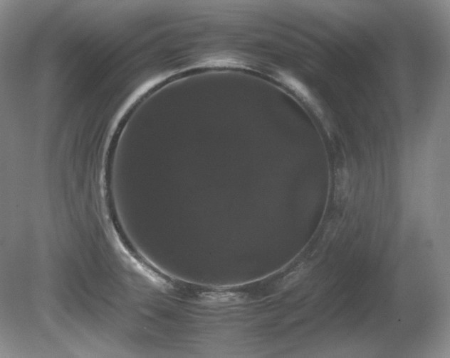 X0000081611331200701151355