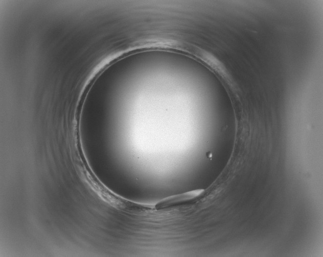 X0000081611332200701151355