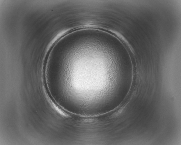 X0000081611333200701151355