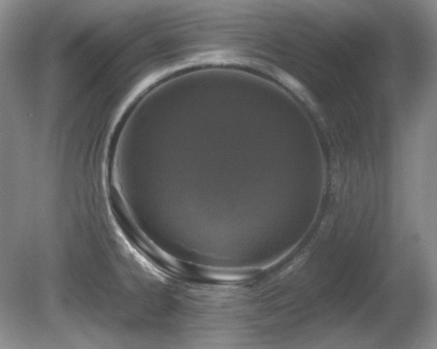 X0000081611334200701151355