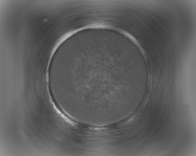 X0000081611335200701151355