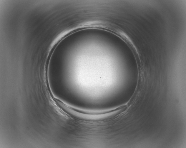 X0000081611336200701151355