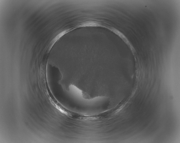 X0000081611337200701151355