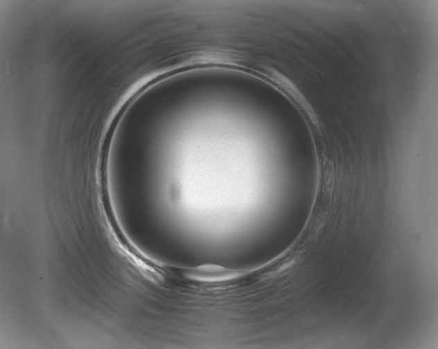 X0000081611339200701151355