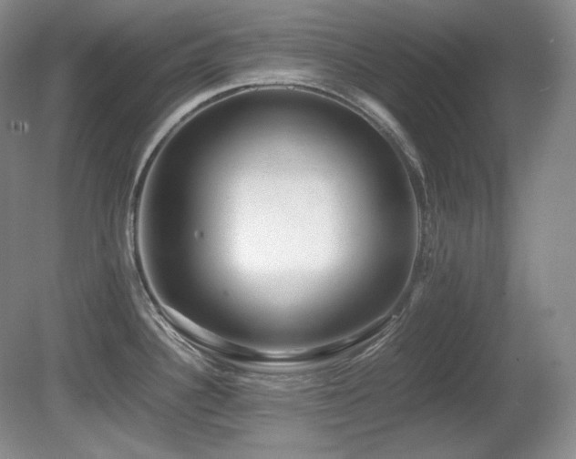 X0000081611340200701151355