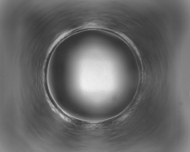 X0000081611341200701151355