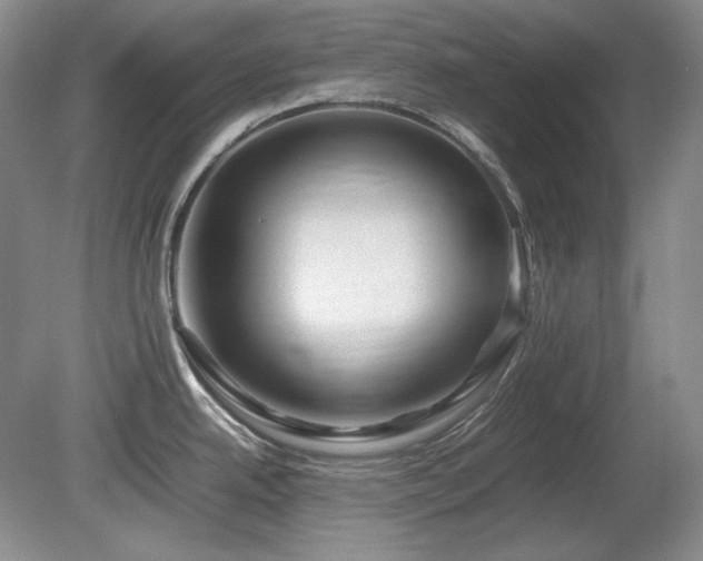 X0000081611342200701151355