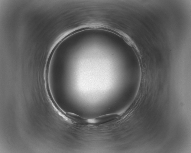 X0000081611343200701151355