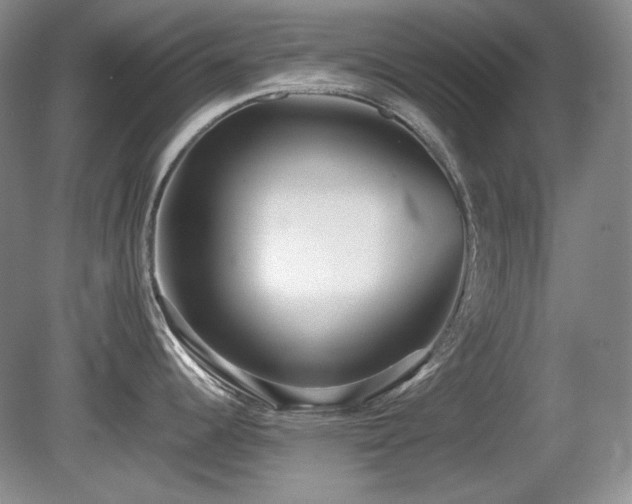 X0000081611344200701151355