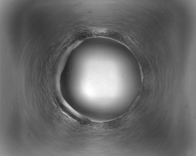 X0000081611345200701151354