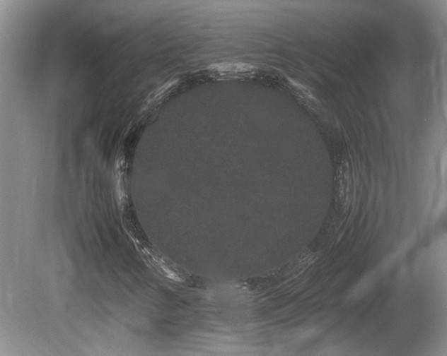 X0000081611346200701151354