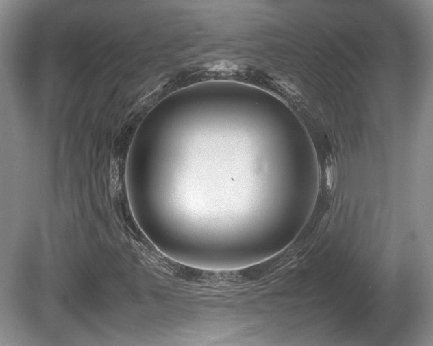 X0000081611347200701151354