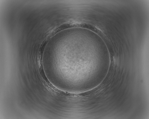 X0000081611348200701151354