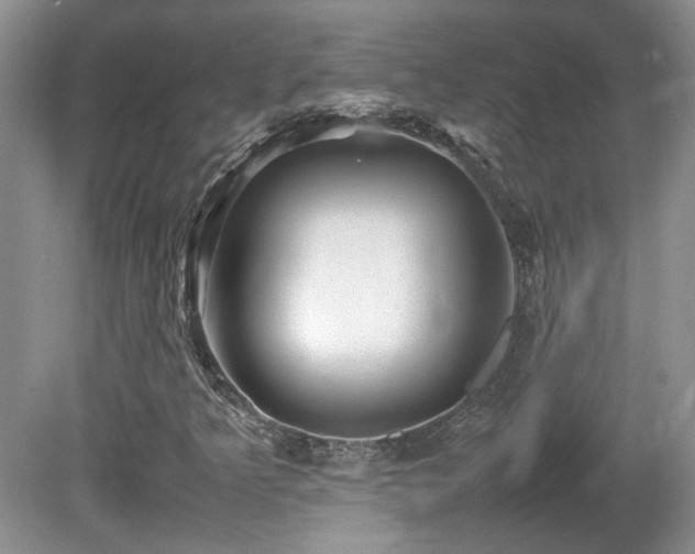 X0000081611349200701151354