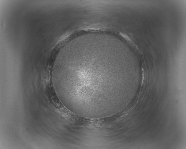 X0000081611350200701151354