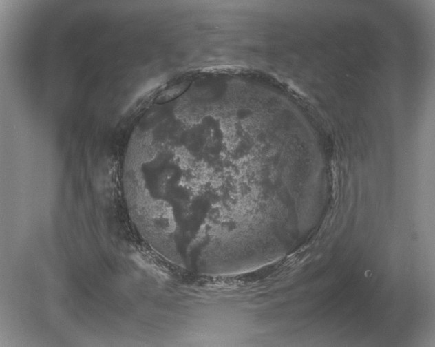 X0000081611351200701151354