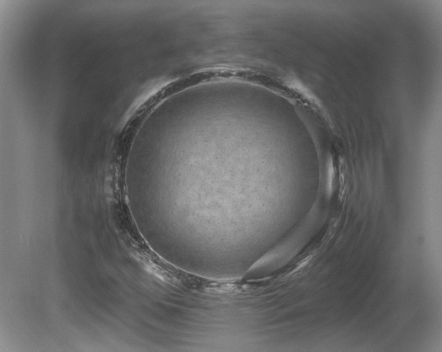 X0000081611352200701151354