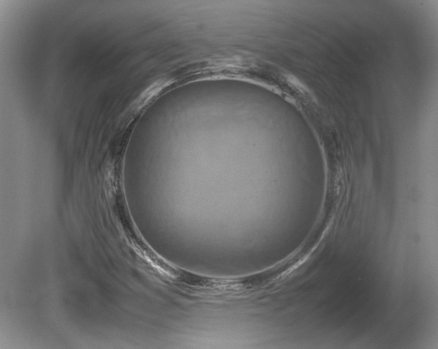 X0000081611353200701151354