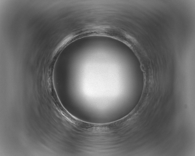 X0000081611354200701151354