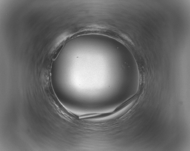 X0000081611355200701151354