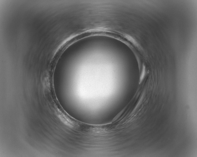 X0000081611356200701151354