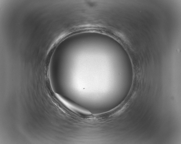 X0000081611357200701151354