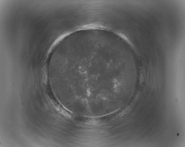 X0000081611358200701151354