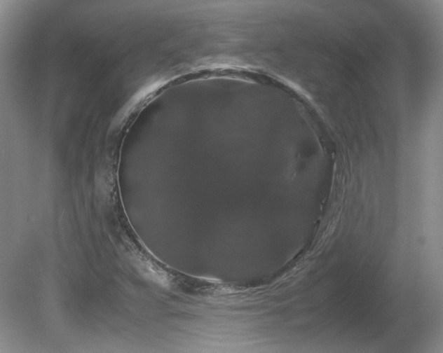 X0000081611359200701151354