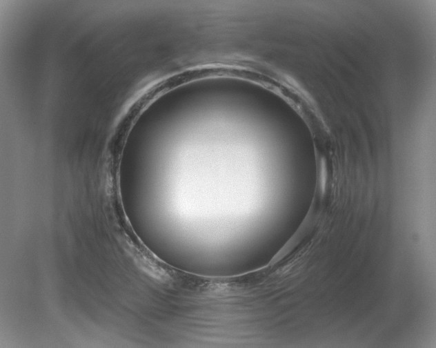 X0000081611360200701151354