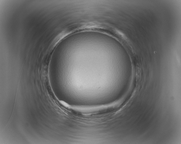 X0000081611361200701151354