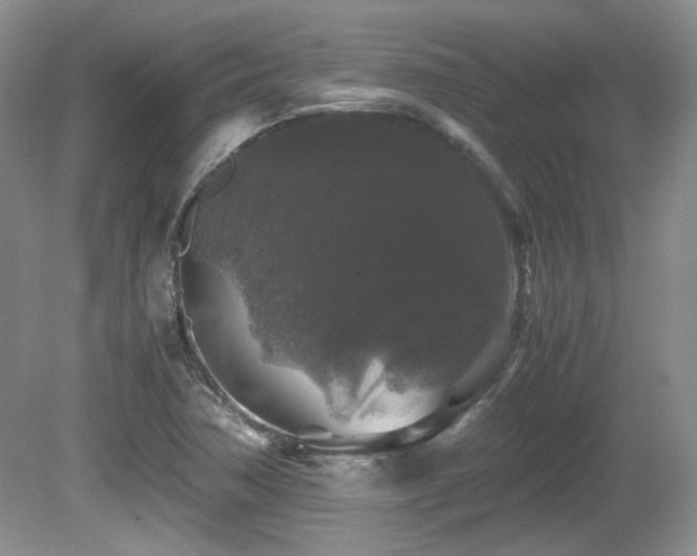 X0000081611362200701151354