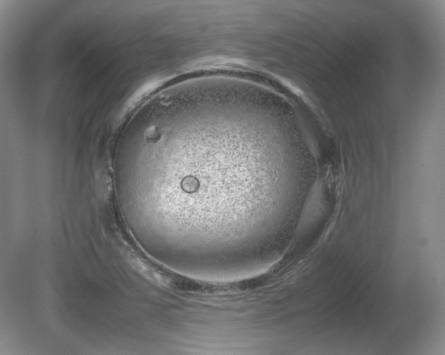 X0000081611363200701151354