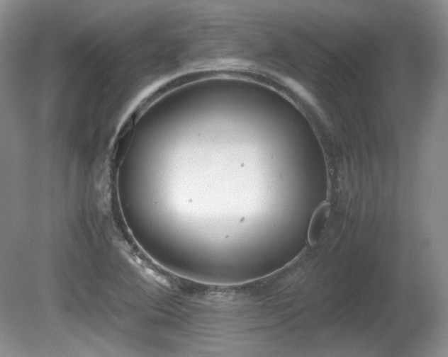 X0000081611364200701151354